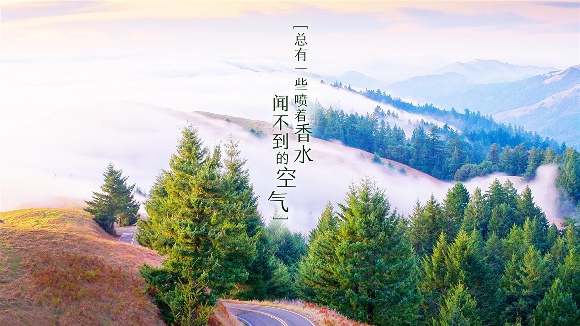 爱游戏官网-最后关头！王强关键三分绝杀，助北京险胜上海！，王强百科