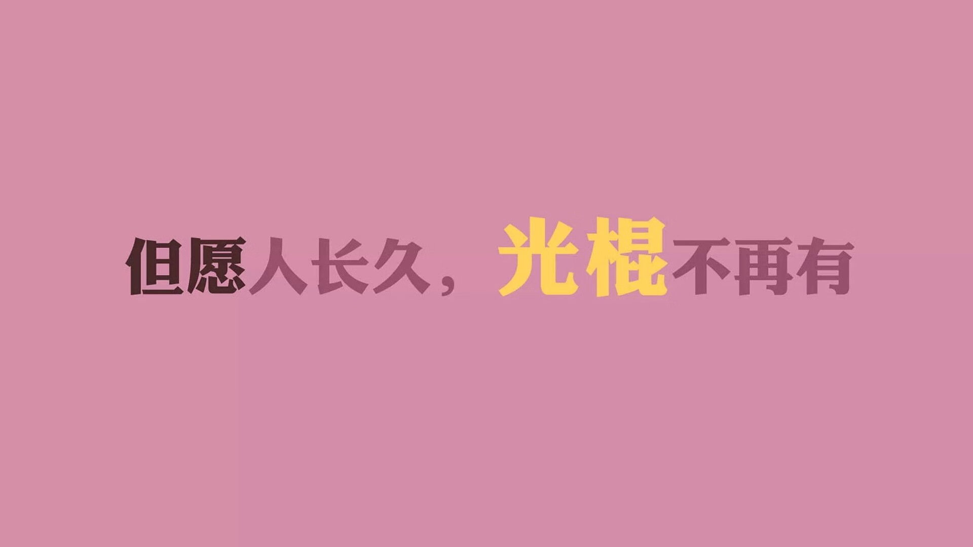 极限跳水世界巡回赛，水中腾跃的精彩瞬间，极限跳水世界纪录