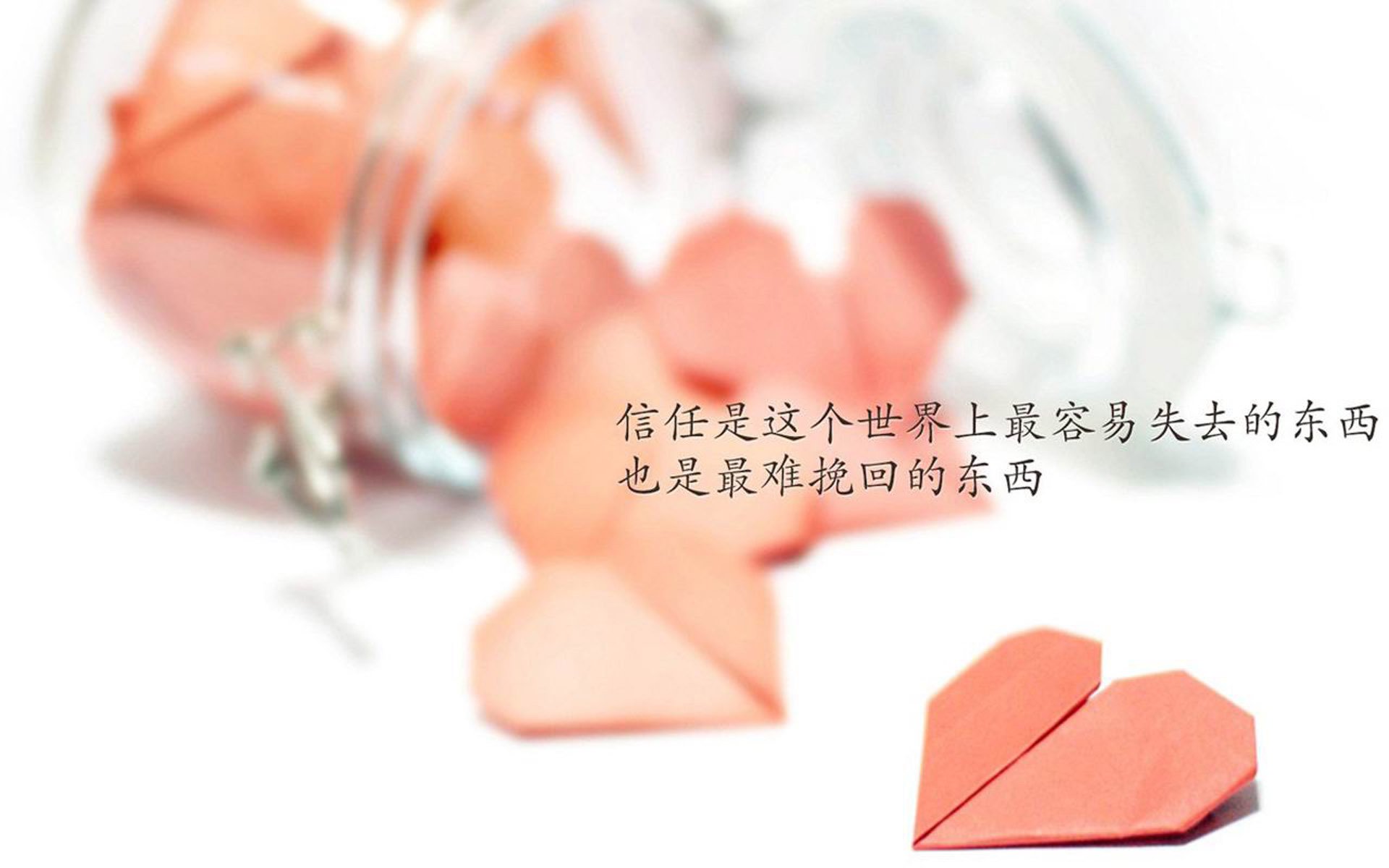 LCS战队出征世界赛名单公布，lcs所有战队