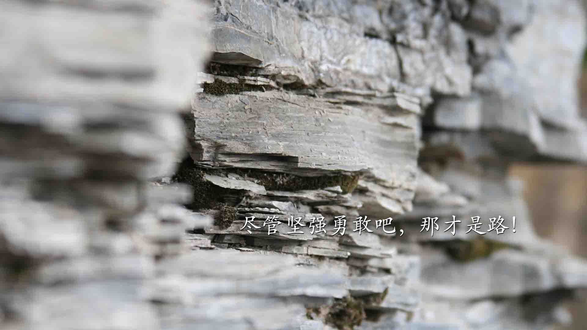 中国篮球运动员纪律管理，目前我国篮球运动员管理存在的弊端有哪些