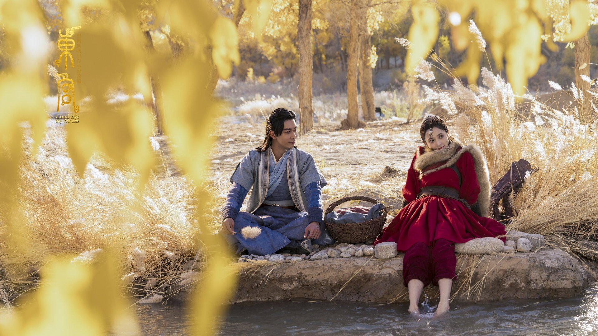 校园运动会组织标准与执行偏差研究，运动会组织方案的制定