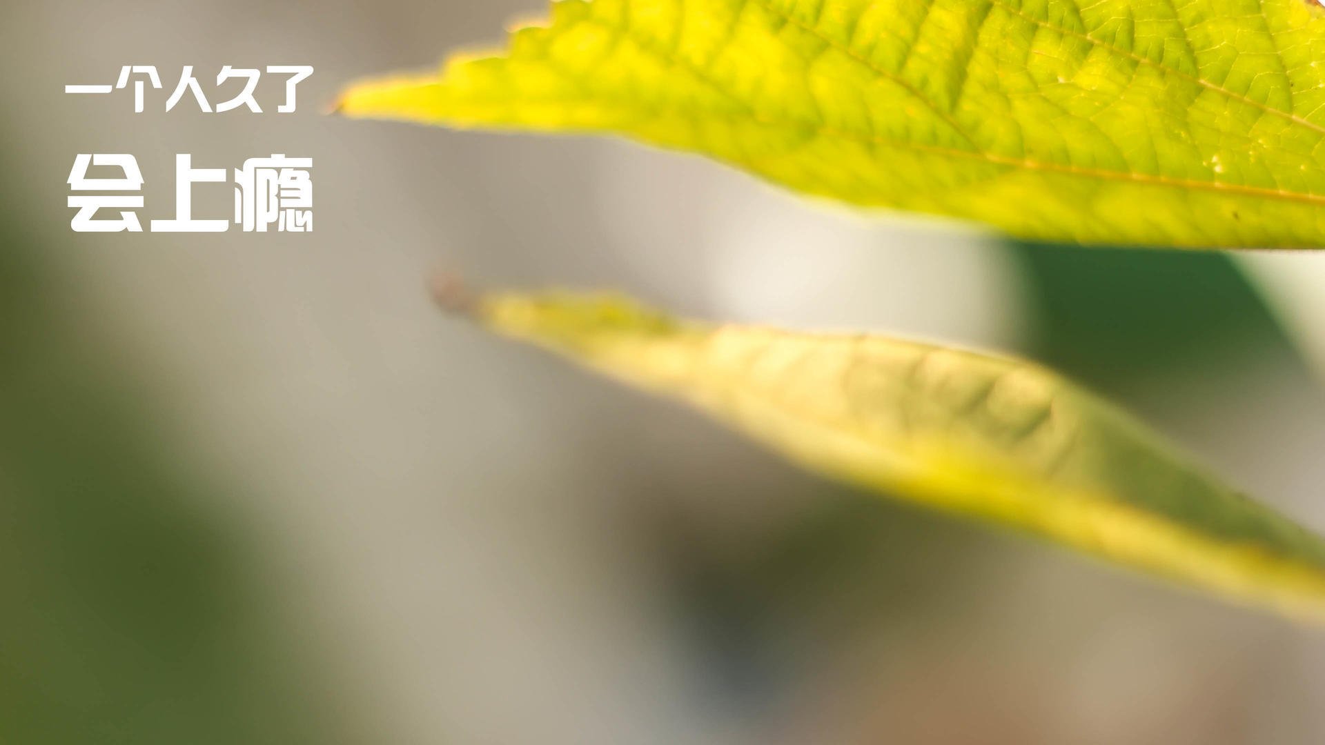 高校运动损伤康复技术研究与推广，运动损伤康复专业排名