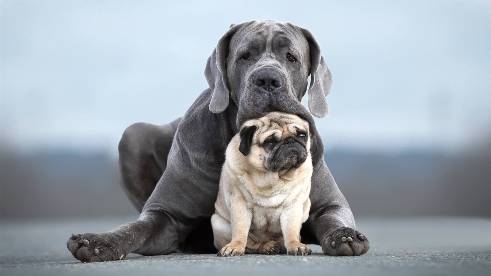 东亚杯中国女足逆袭 球员发挥出色,中国队东亚杯名单