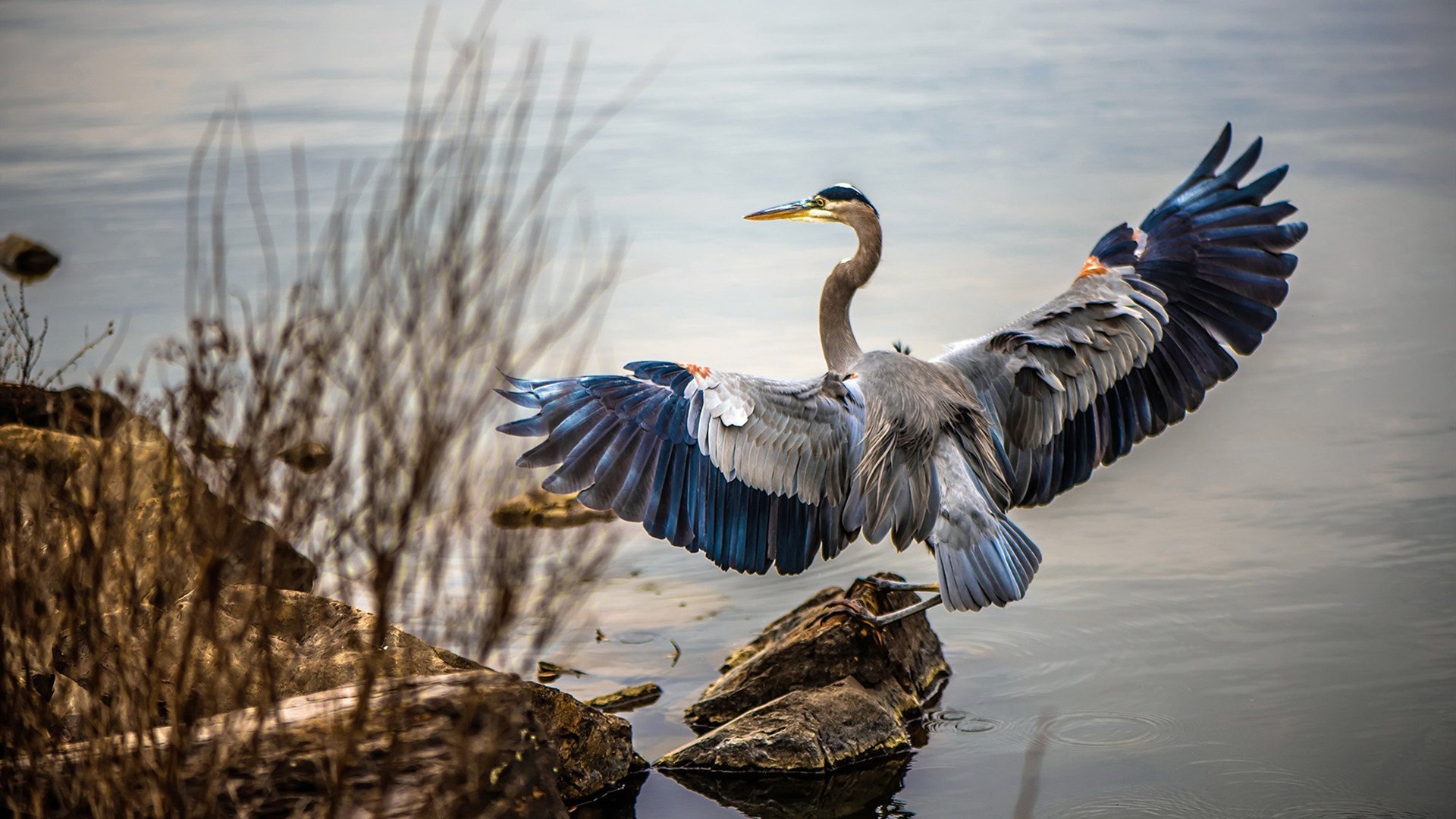 中国三人篮球女队积极备战国际赛事，中国三人篮球女篮
