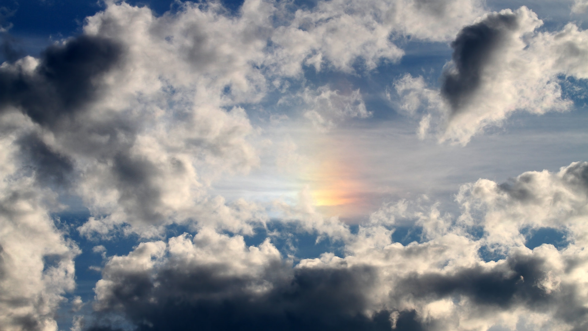 东亚杯中国足球战胜 球迷为球队加油,东亚杯中国足球战胜 球迷为球队加油视频