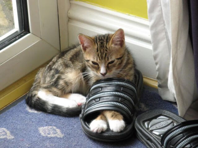 主力后卫频繁轮换是否影响整条防线默契，后卫改踢前锋的球星