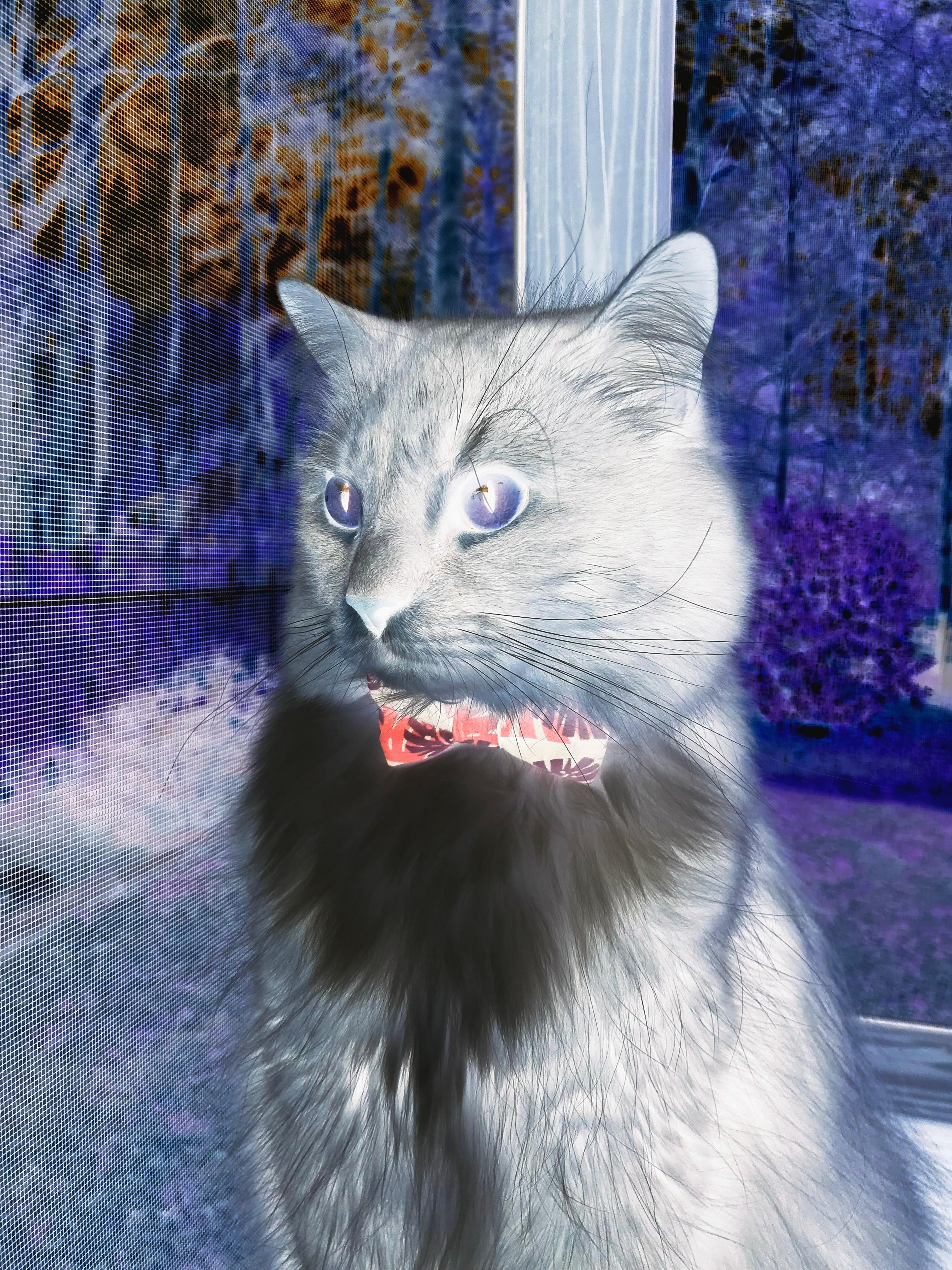 爱游戏智能平台-五大联赛是否利用中卫长传精准度打破对方高位站位，五大联赛中场排行