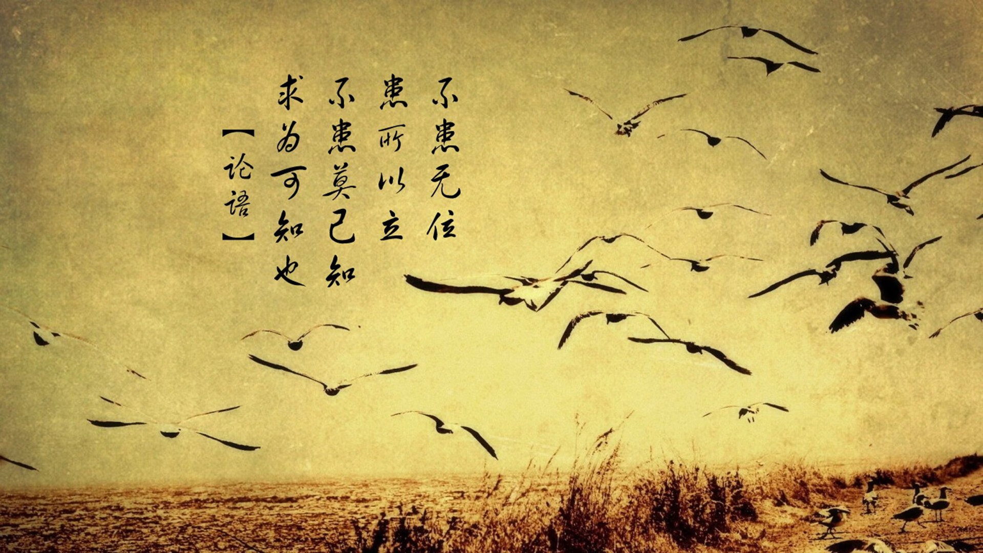 体育新闻中心上线体育内容个性化推荐算法，体育类新闻20条