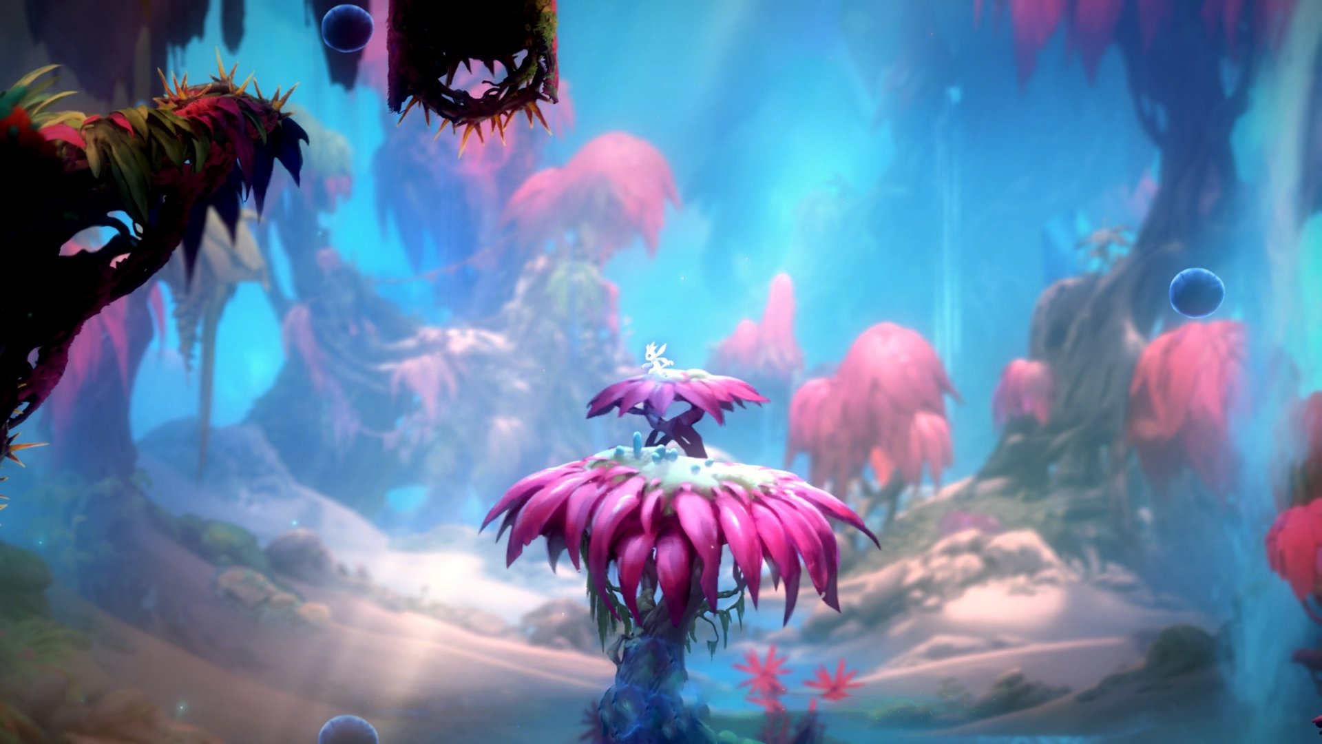 体育新闻中心发布体育创作者职业发展支持政策,体育行业创业的方向