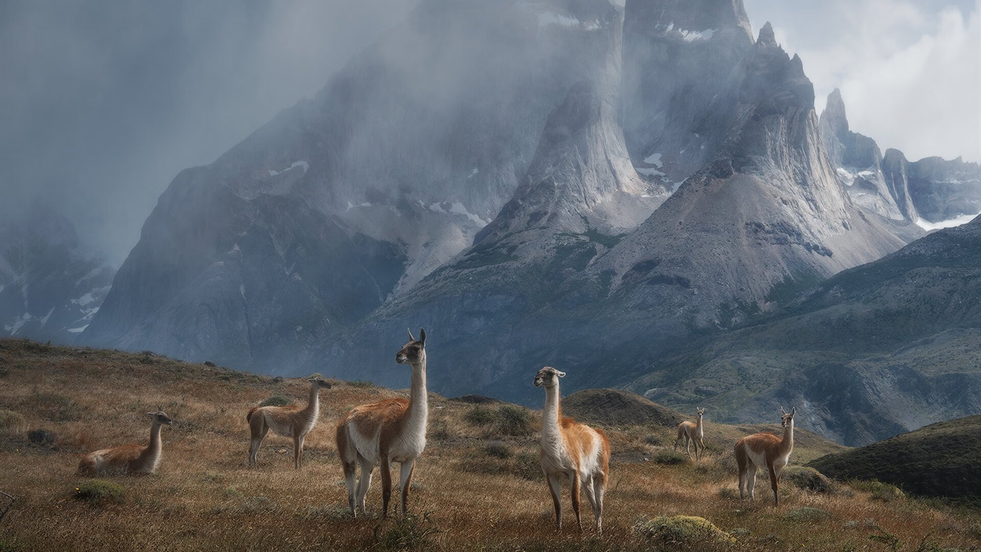 体育新闻中心承办体育赛事数字内容版权研讨会，体育赛事媒体手册