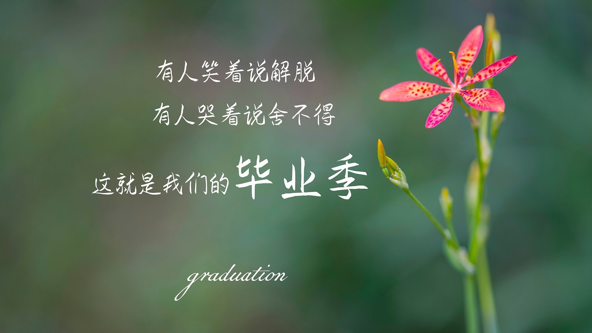 全国花样游泳挑战赛创新动作频频出现,花样游泳团体决赛中国