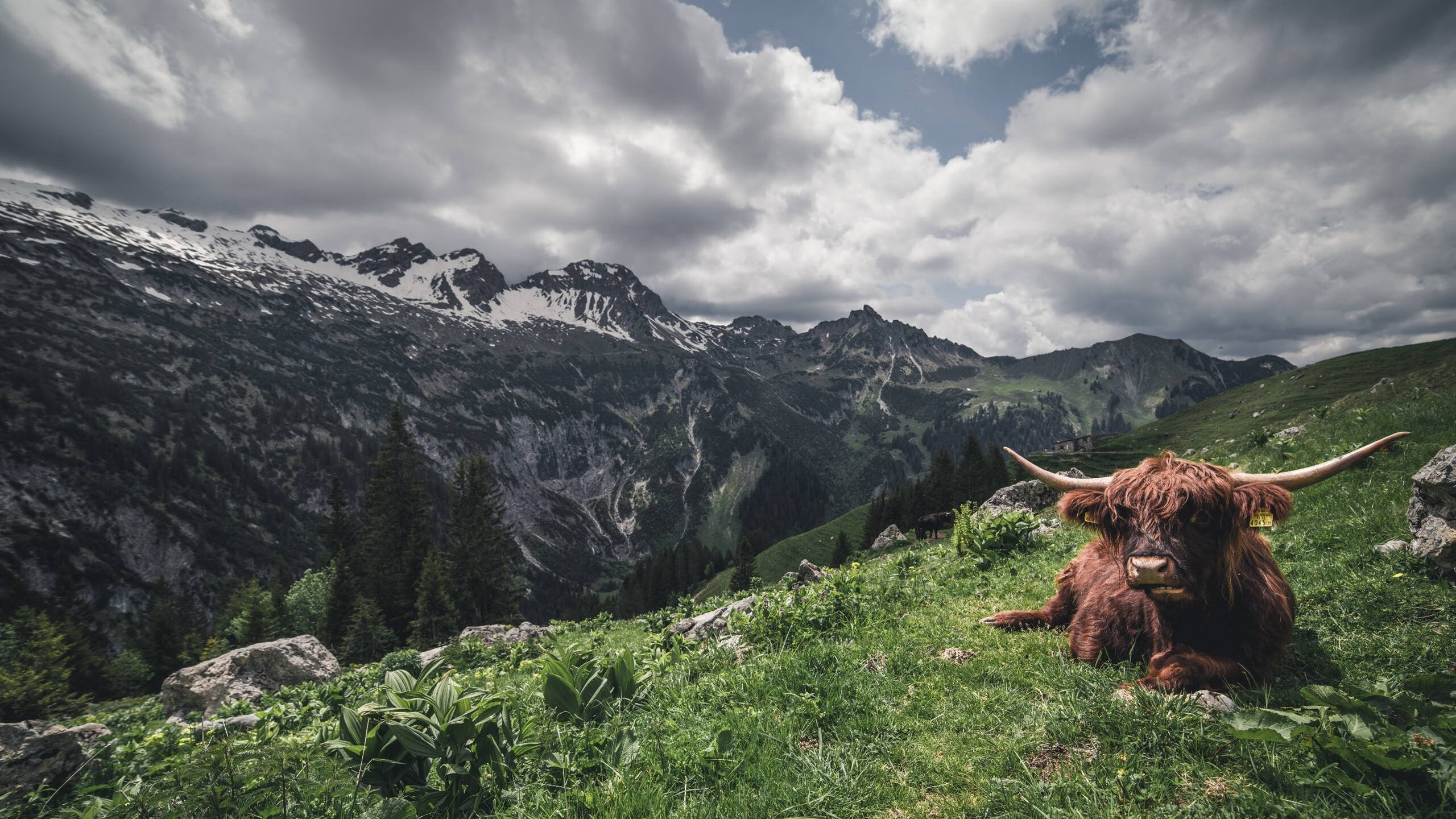 爱游戏体育-倒三角站位连接前后两端，倒三角倒立